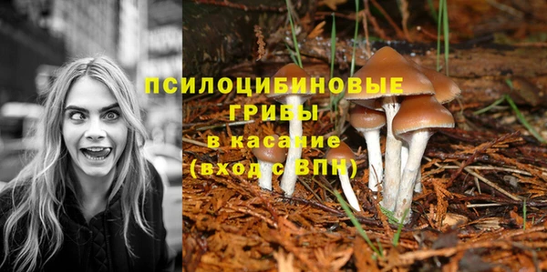 mix Белокуриха