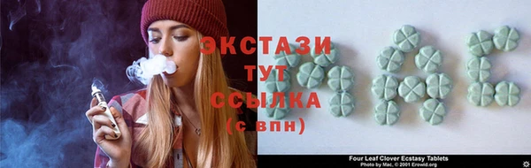 прущие грибы Беломорск