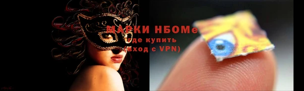 прущие грибы Беломорск
