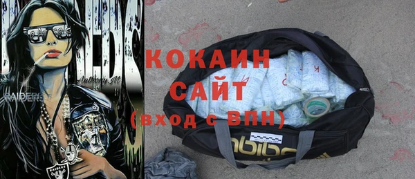 прущие грибы Беломорск
