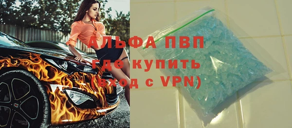 прущие грибы Беломорск