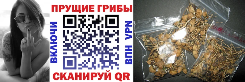 Галлюциногенные грибы мицелий  мега зеркало  Добрянка 